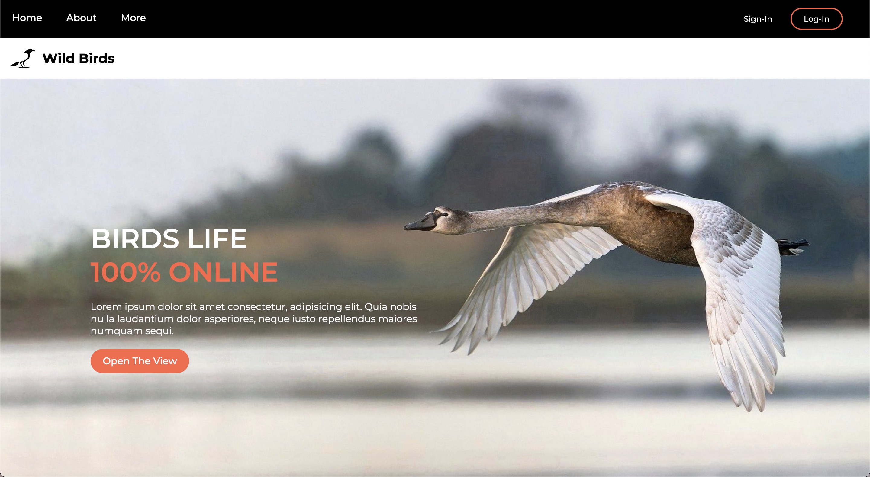 A landing page for a birds / wild birds guide - oranos | Abdellah Garrag